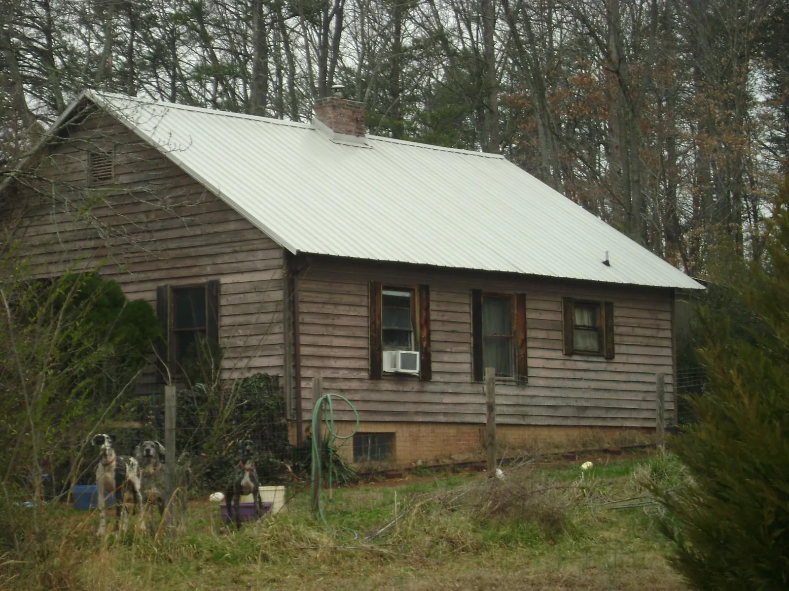 White metal roof on an old wood sided farmhouse, from a Asphalt Shingle Roof Repair job in Buchanan